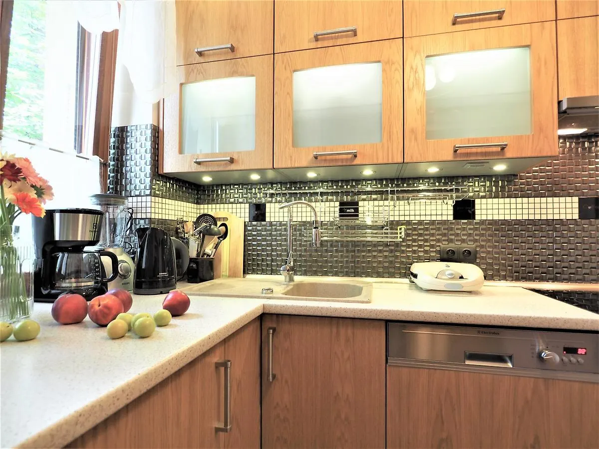 Appartement Vip Apartamenty Tetmajera Centrum 2 Zakopane