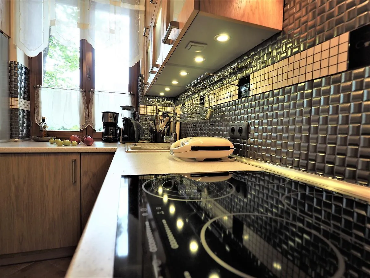 Vip Apartamenty Tetmajera Centrum 2 Zakopane Pologne